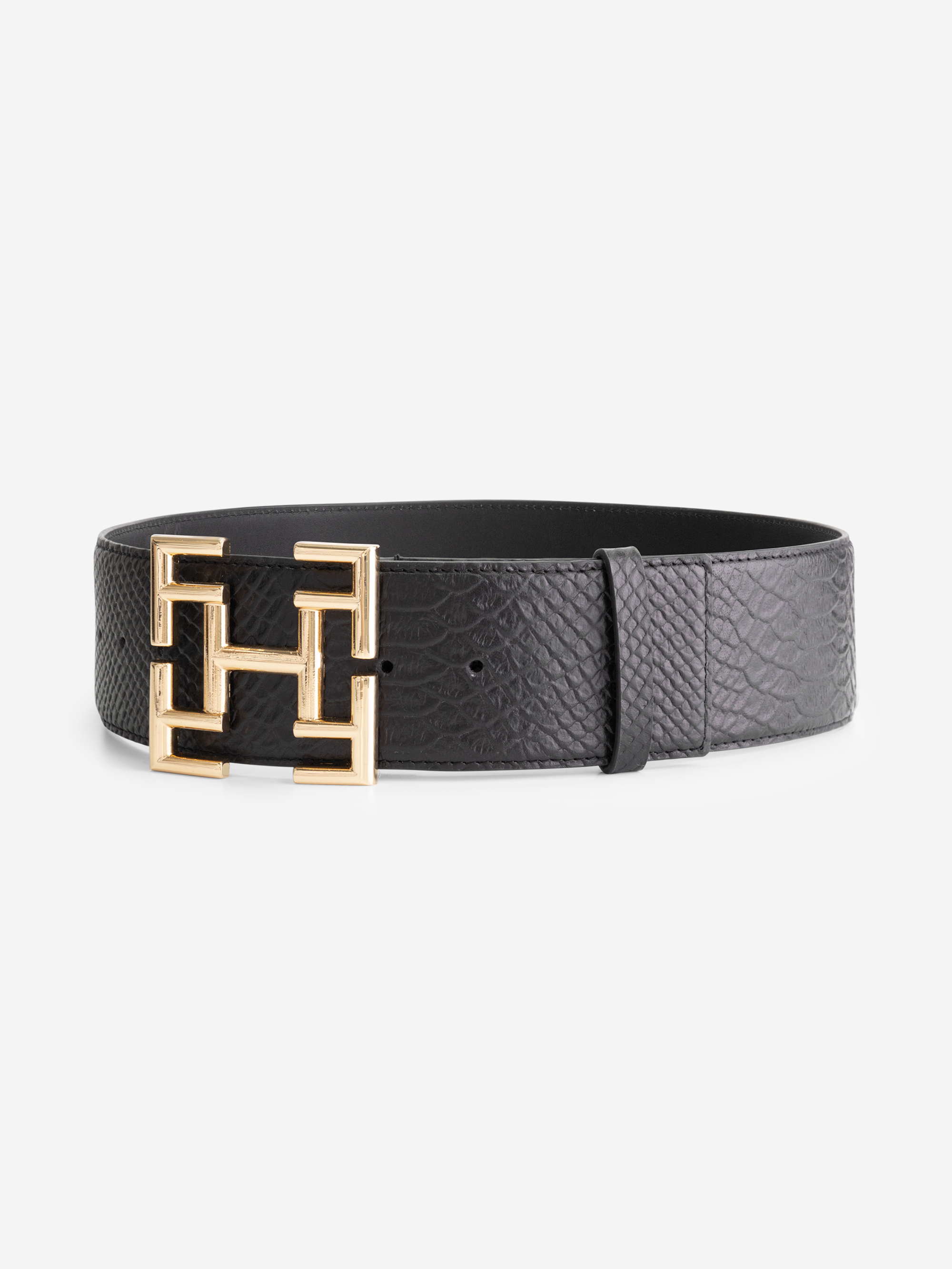 Dana Belt
