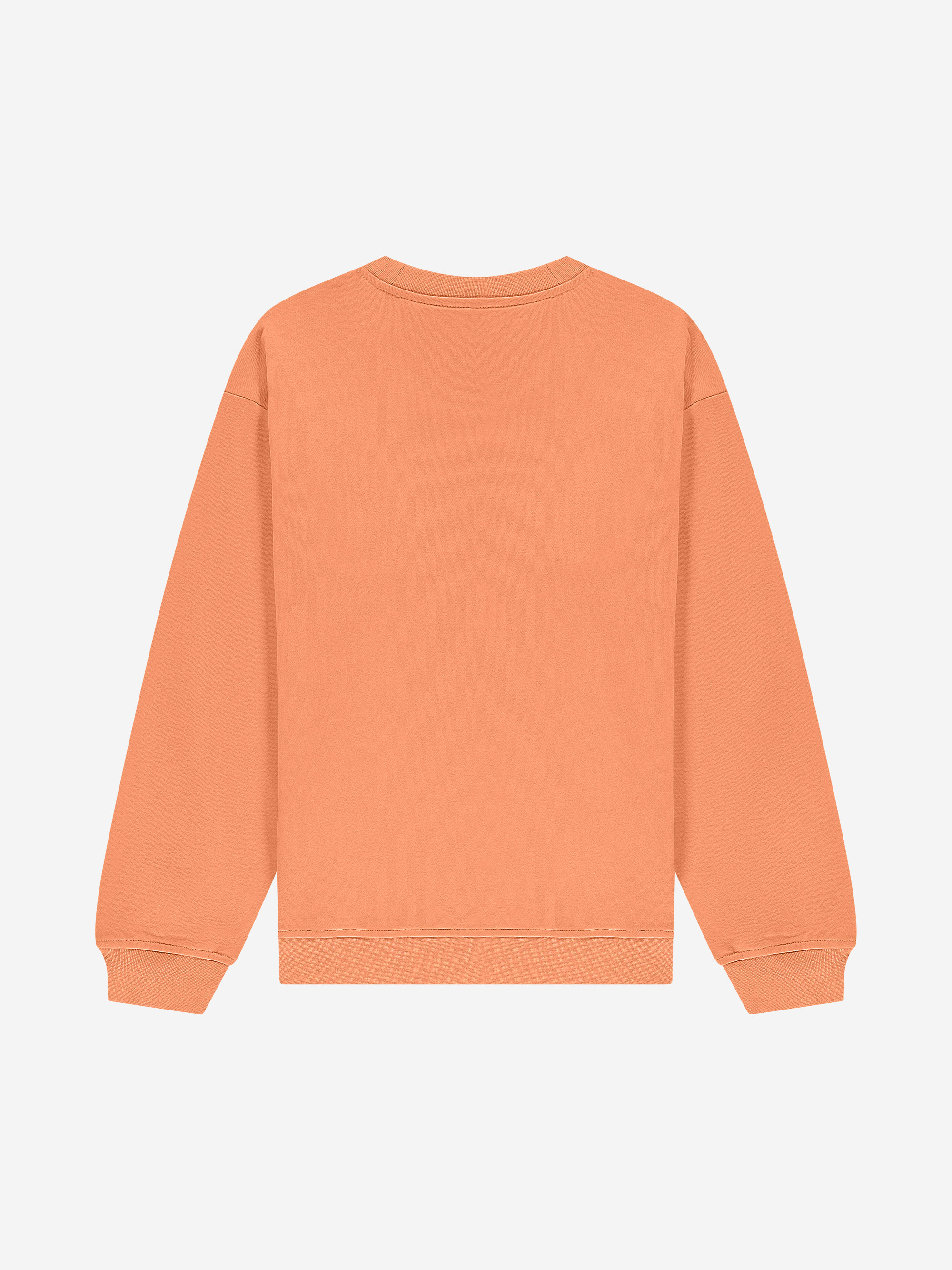 Sweatshirt with logo patch