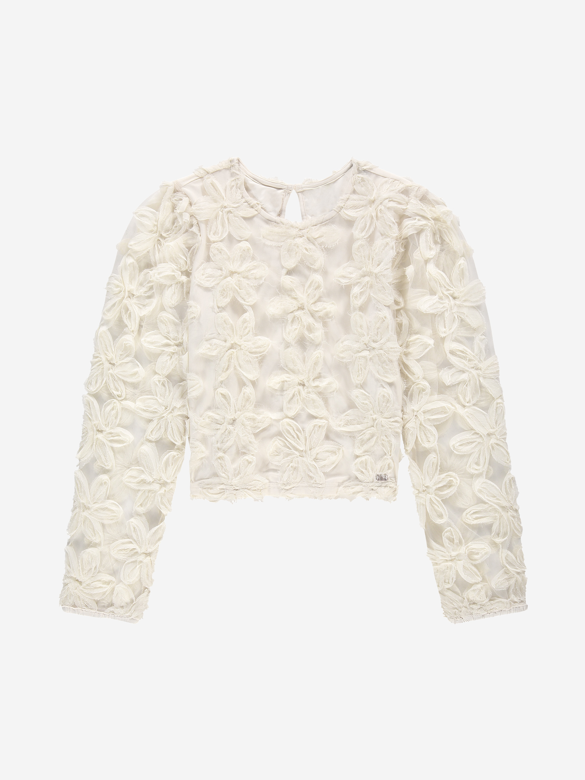Top with embroidered flowers and mesh balloon sleeves
