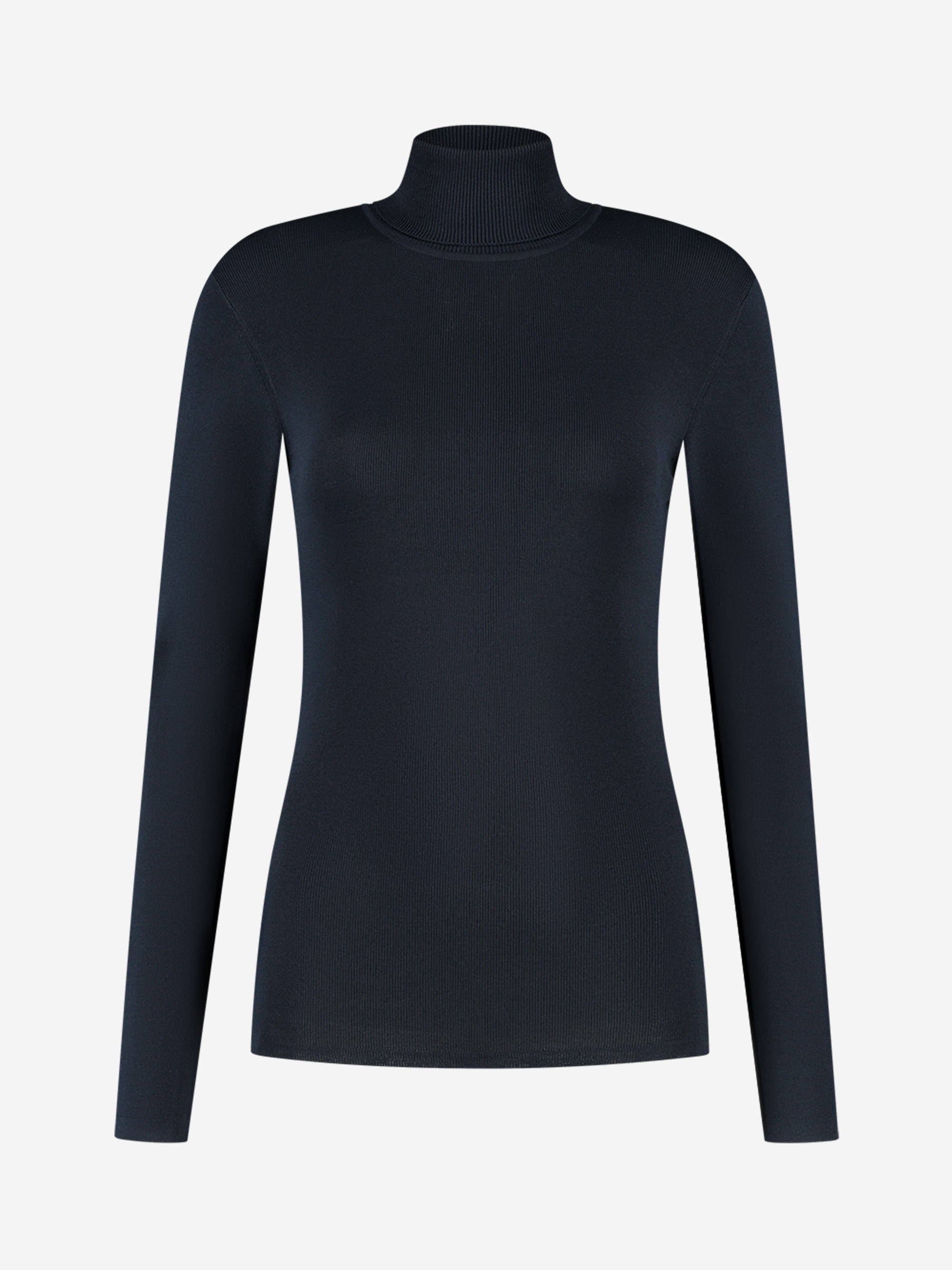 Fitted top with turtleneck