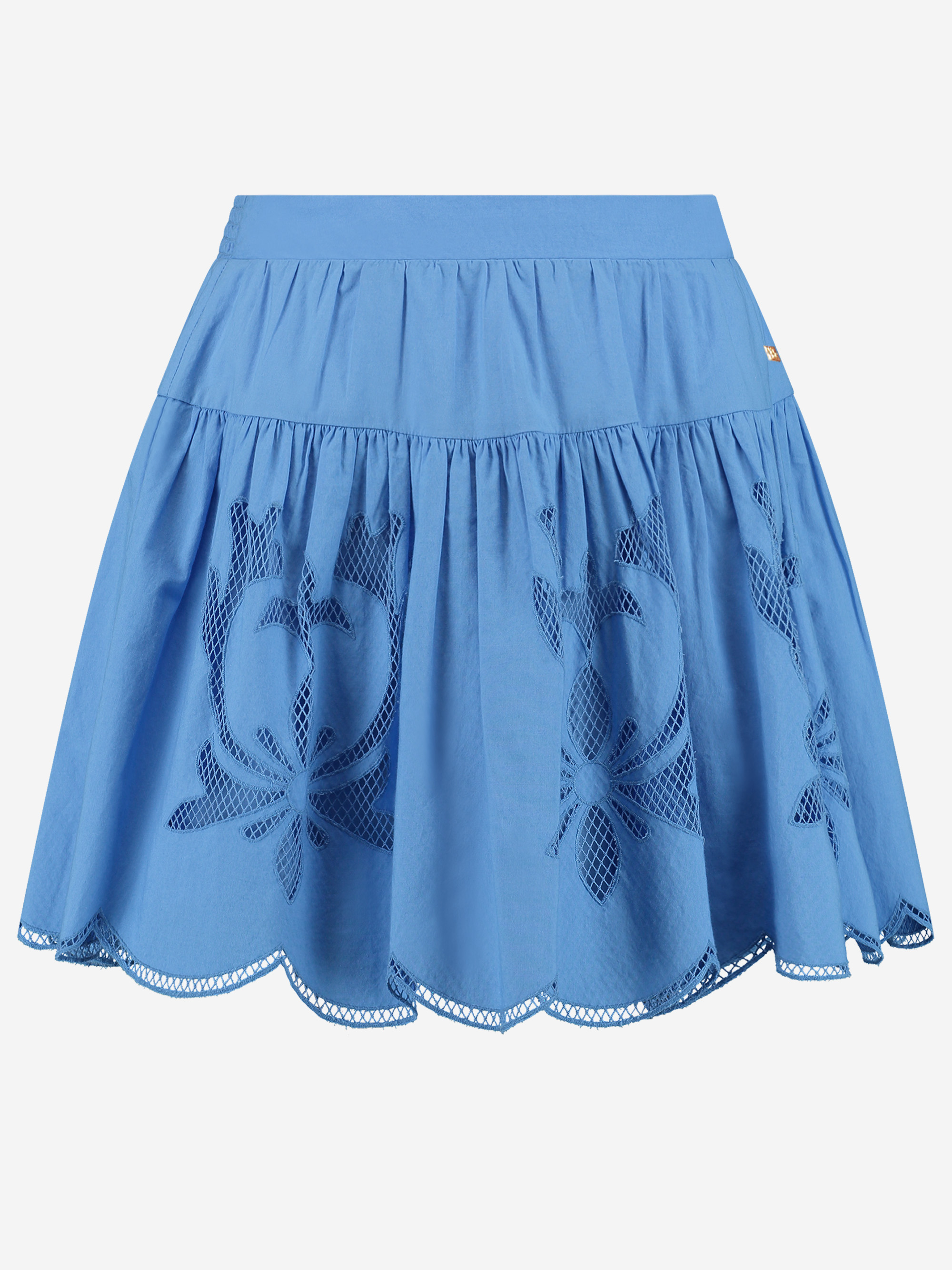 Rok met embroidery