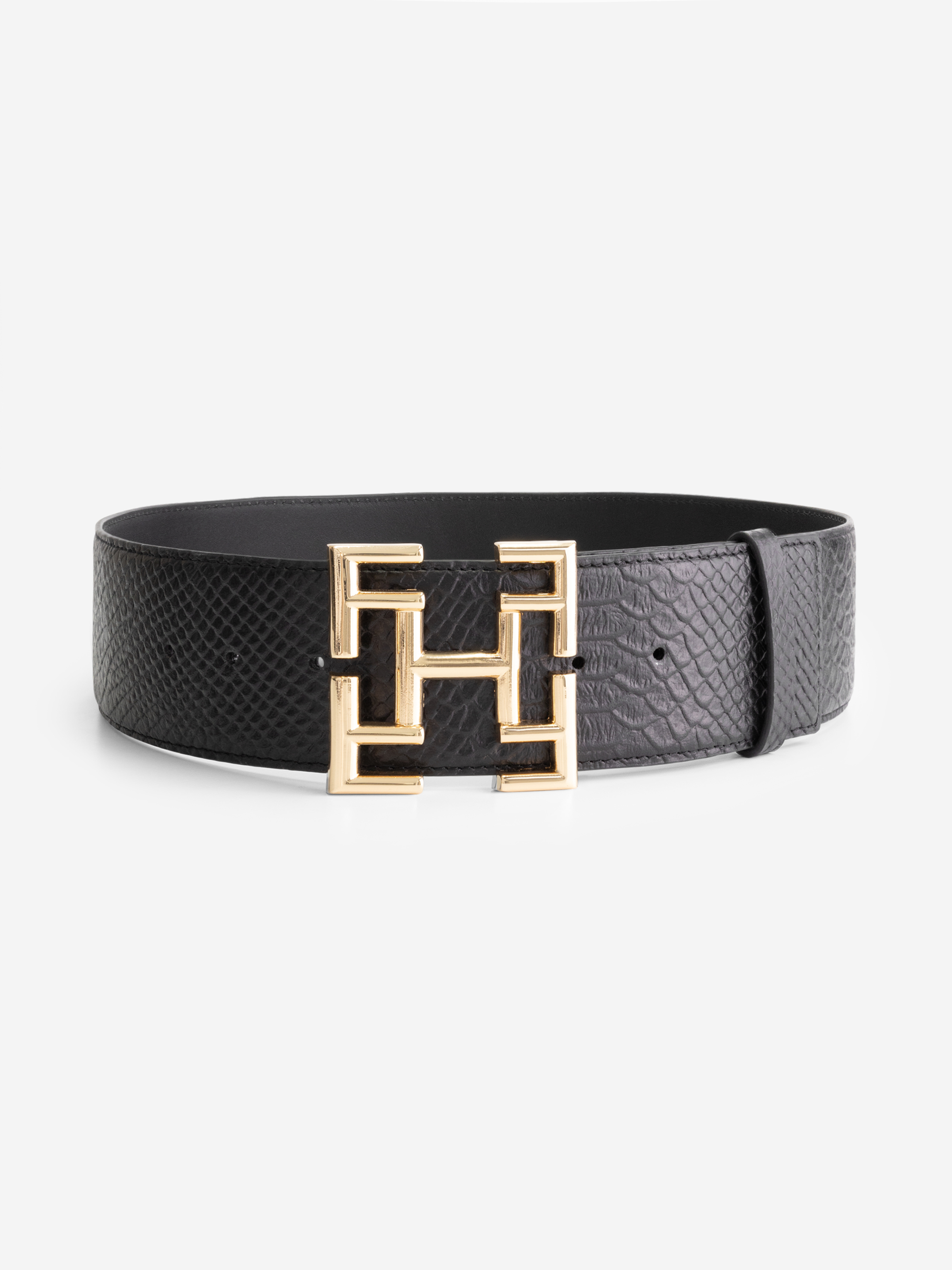 Dana Belt